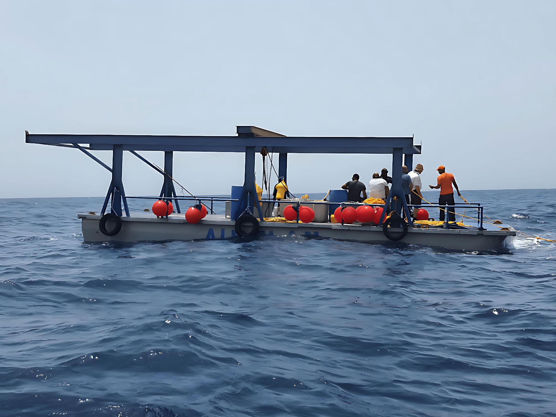 صورة عن الخدمة