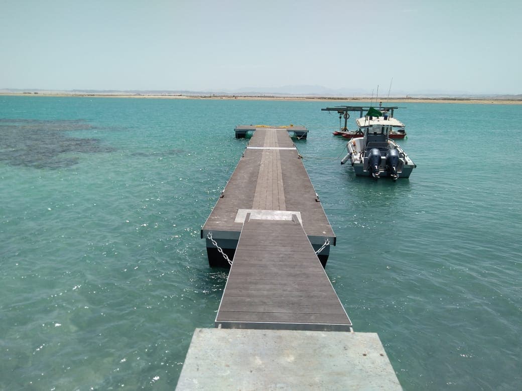 صورة عن الخدمة