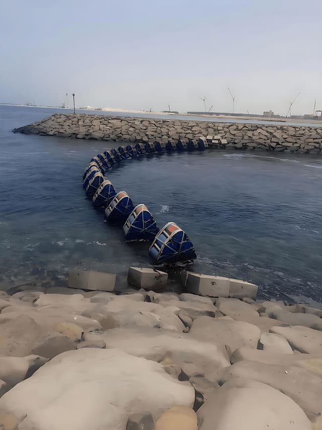 صورة عن الخدمة