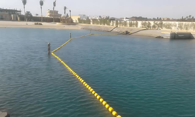 صورة عن الخدمة